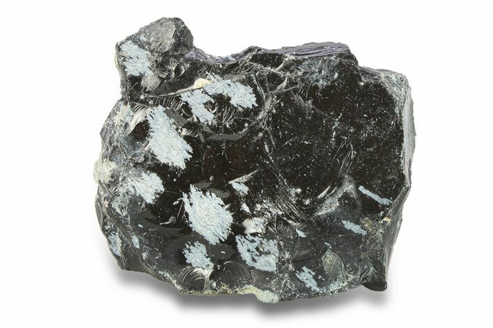 Snowflake Obsidian Section - Utah #285931